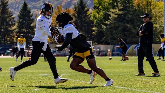 Halicke: Pickett's first impressions are promising taken on the South Side (Steelers)